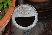 smile-foto - die Quibble-KidZ